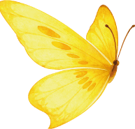 helden-in-aktion-schmetterling